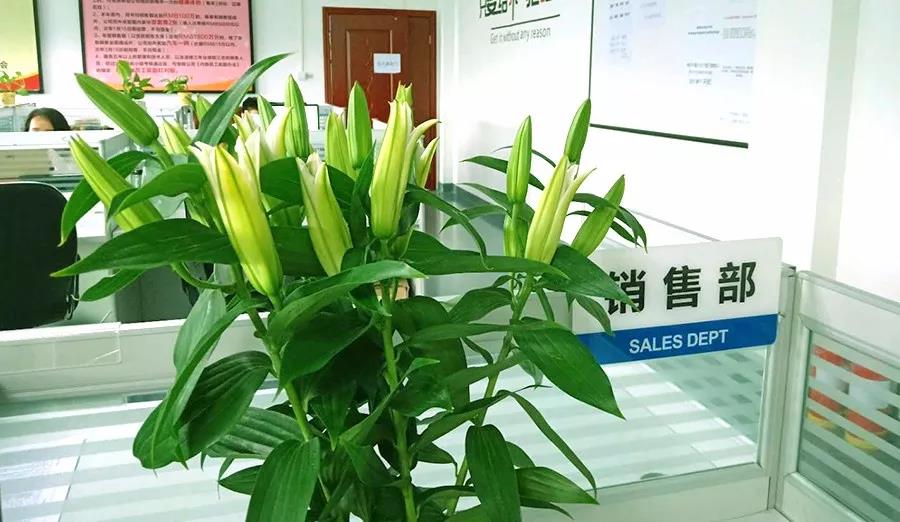 濃情七夕，最美祝福！